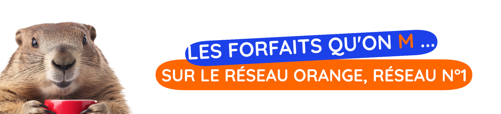 Sans titre (5)
